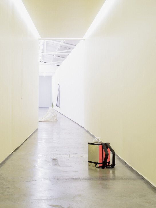 Adrien Missika, Zeitgeber, installation view, 2015.