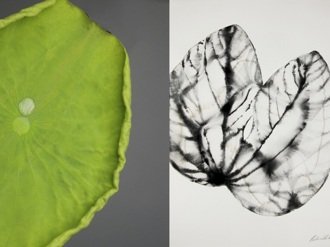 Barbara Edelstein: Reflections: Nature #36, 2014 (detail)