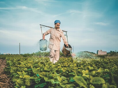 L'agricoltura quale risorsa mondiale