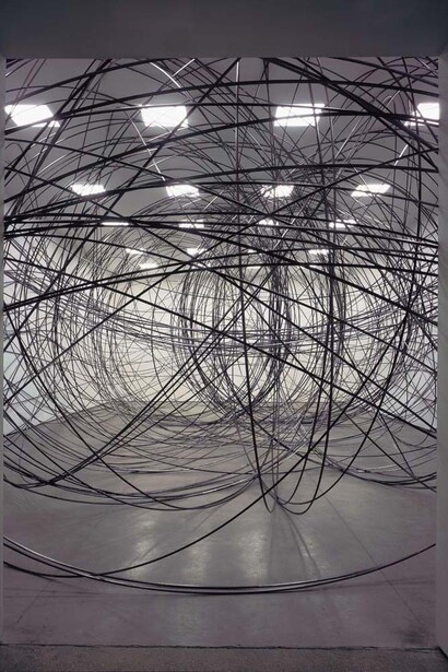 Antony Gormley,
CLEARING I, 2004.

10 km of 12.7 mm square section 16 swg aluminium tube. Dimensions variable. Installation view, White Cube, London, England. Photograph by Stephen White, London © the artist.