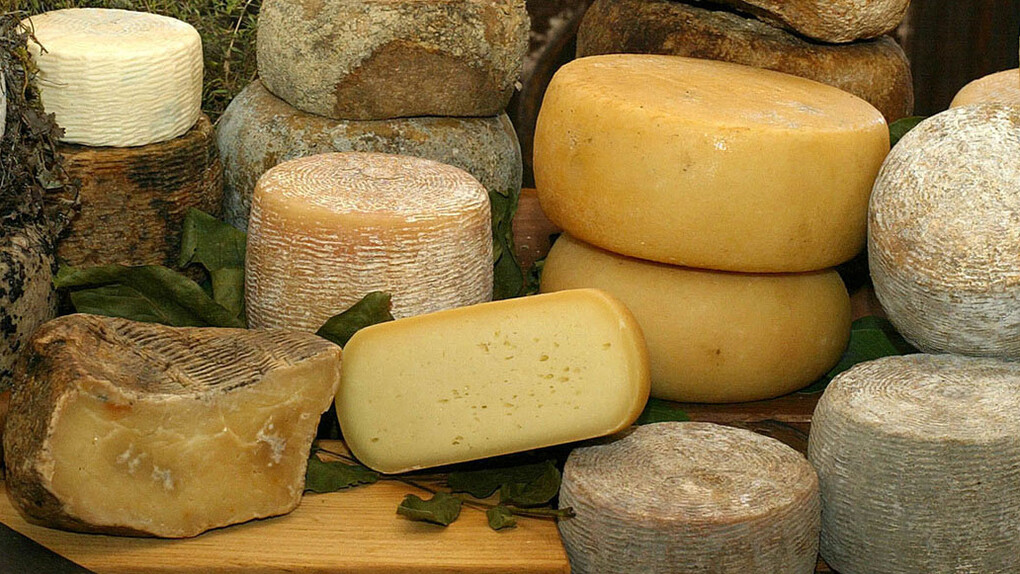 Una selezione di formaggi della provincia torinese