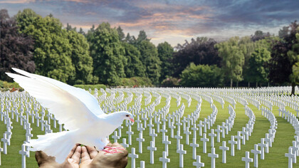 A dove of peace above the graves of hundreds of fallen soldiers