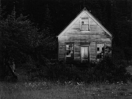 Oliver Gagliani, Untitled, Plumas-Eureka State Park, California, 1962
