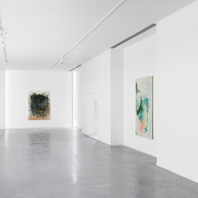 Libasse Ka, Notes on shape shifting, vue d'exposition. Avec l'aimable autorisation du Museum Dhondt-Dhaenens