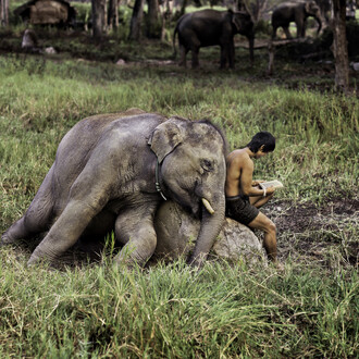 Steve McCurry. Courtesy of MUDEC