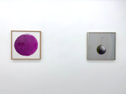 Varios artistas, Siete miradas, vista de exhibición. Cortesía de Galería Adora Calvo