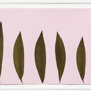 Alek O, Ida, 2017, pressed leaves on paper , 65 (h) x 155 (w) x 5.5 (d) cm each, photo by Andrea Rossetti, courtesy Gallery Frutta, Rome