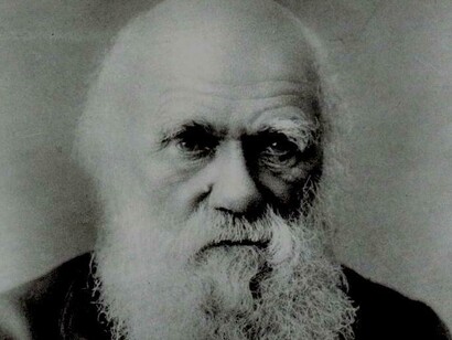 Ch. Darwin (1809-1882)