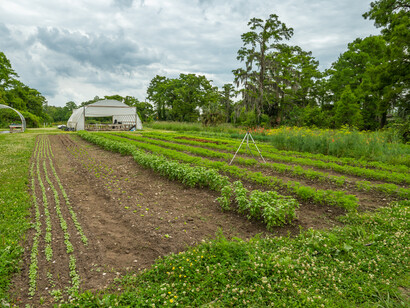 La granja urbana recibió una subvención a través de la Oficina de Agricultura Urbana y Producción Innovadora del USDA, 2022, New Orleans. EE. UU.