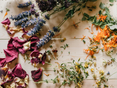 Many enslaved Africans brought deep knowledge of plant medicine from West and Central Africa