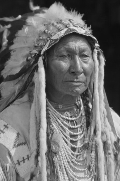 Portrait of Martin Horses of the Kainai Nation From the Harry Pollard fonds, USA