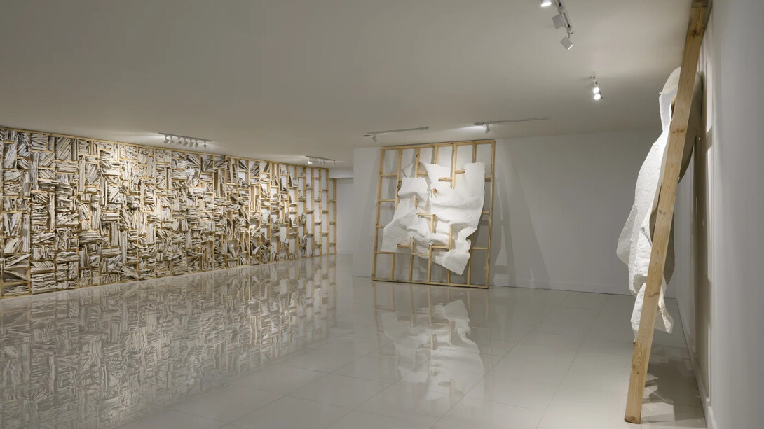 Pavel Acosta, The anatomy lesson, exhibition view. Courtesy of Pan American Art Projects