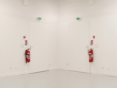 Edouard Lecuyer, Mimesis, variable size, 2014. Courtesy the artist