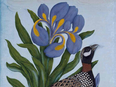 Studies of Nature. Courtesy of Pergamonmuseum