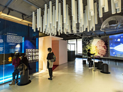 Man and Genes. Courtesy of Cité des Sciences et de l'Industrie