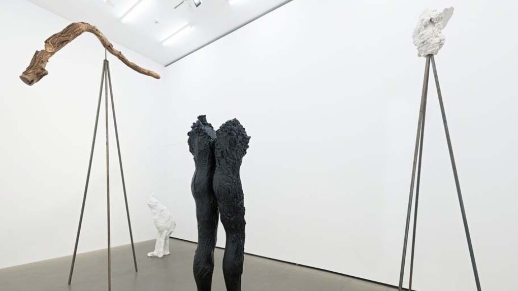 Stella Hamberg. Courtesy of Galerie Eigen+Art