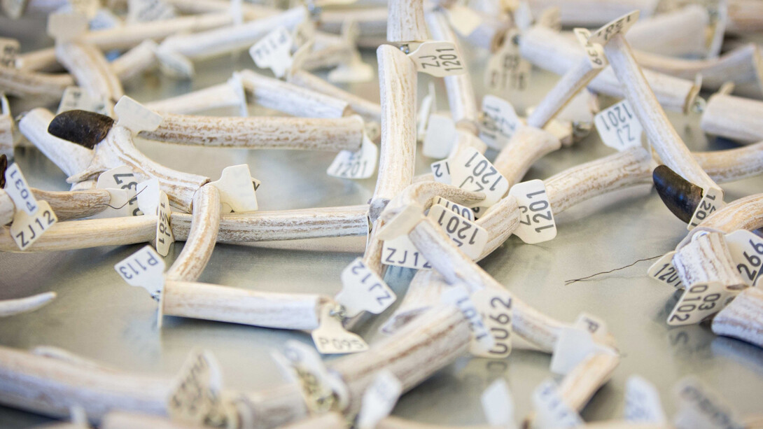 Intersections. Courtesy of Nordnorsk Kunstmuseum