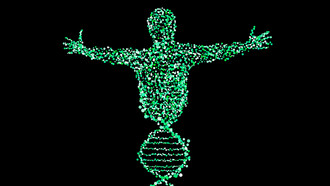 Acerca del genoma