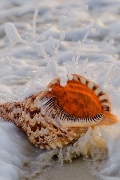 Non farti trascinare subito via dalla brezza delle convinzioni, nell’ascolto non c’è vento