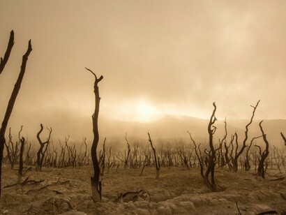 La desertificación de amplias zonas del planeta es una de las consecuencias del cambio climático
