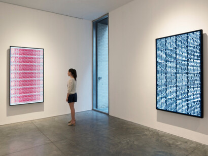 Michal Rovner. Courtesy of Pace Gallery 