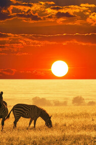 Sunset in Africa