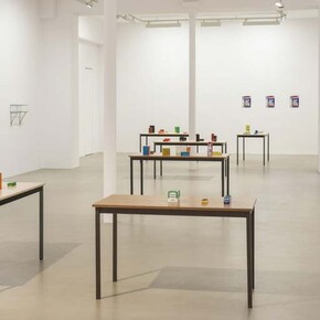 6 or 7 new works. Courtesy of Galerie Chantal Crousel