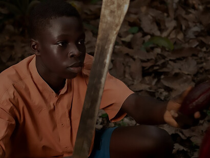 An African boy harvesting cocoa beans in the field with a machete, portraying agricultural labor in Africa's cocoa industry