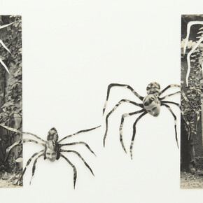 Dear Friend... Courtesy of Postmasters