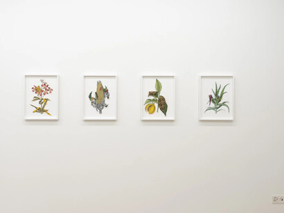 Ishita Chakraborty, I recall the forest inside me, exhibition view. Courtesy of Galerie Peter Kilchmann