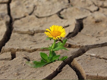 La pénurie d’eau est donnée comme le scénario non seulement le plus probable, mais inévitable