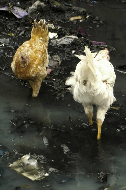 Pobre situación sanitaria en Tanzania