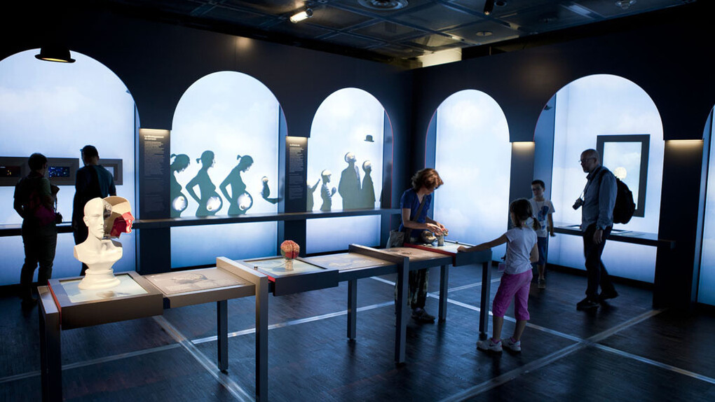 BR4IN. Courtesy of Cité des Sciences et de l'Industrie