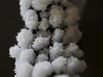 Charlotte Charbonnel