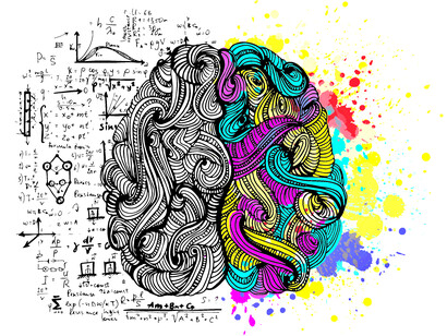 Cerebral hemisphere