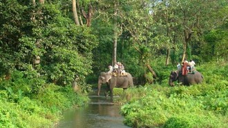 Elephant ride across Gorumara National Park