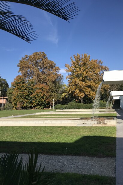 Gli alberi monumentali in autunno vicino alla Serra della Biodiversità