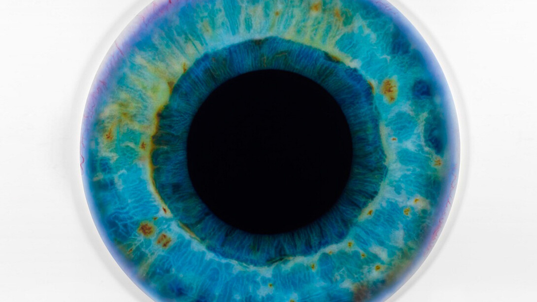 Marc Quinn, Iris (We Share Our Chemistry With the Stars) A200L DIL, 2009, Oil on canvas, 78 3/4 x 78 3/4 in, 200 x 200 cm