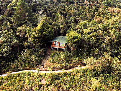 Ulcumano Ecolodge: Los bosques son un componente vital de ese tesoro, pues son el hogar de innumerables especies, pulmones verdes del planeta y fuente de abundancia para nuestro espíritu