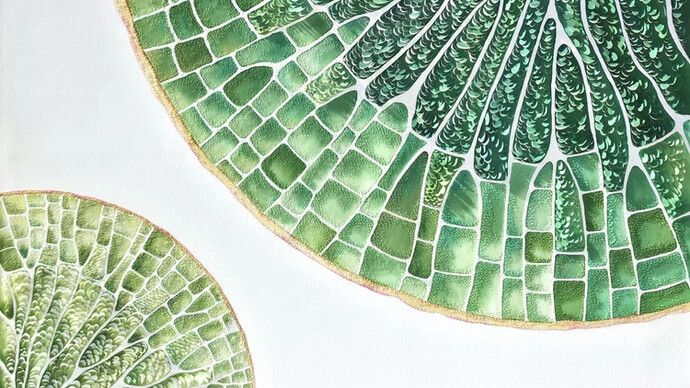 Lis Costa, Vitoria regia II (detail), 2026. Courtesy of Tint Gallery