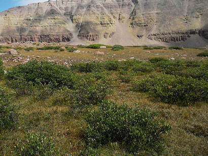 The Uinta Mountains, a key geographical landmark of Utah, USA