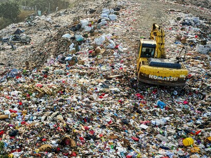 O solo, saturado, já não absorve mais as águas com a mesma generosidade de antes. As florestas, sufocadas pelo calor ou devoradas pelas queimadas, perdem sua capacidade de regular o clima. E os oceanos, quentes e ácidos, matam lentamente as bases da vida marinha, provocando um colapso em cadeia que ameaça não apenas a biodiversidade, mas a segurança alimentar de bilhões de pessoas



