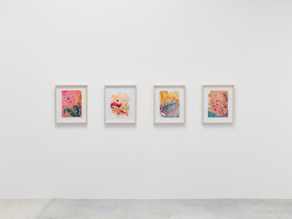 Ileana García Magoda, Agua de vida (Water of life), exhibition view. Courtesy of Anat Ebgi Gallery