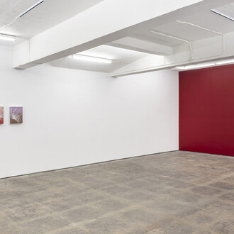 Gabriele Beveridge, Never ends, exhibition view. Courtesy of Seventeen Gallery