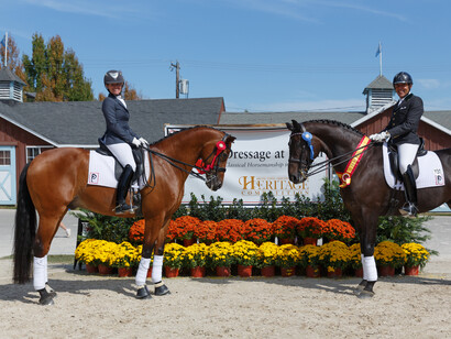 Esibizione di Dressage