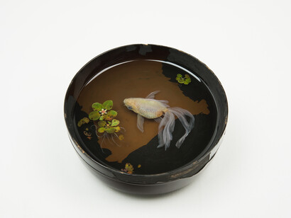 Riusuke Fukahori, Mizuho