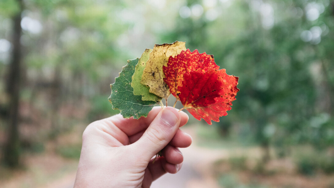 Cambiamento di stagione: cambiare risulta difficile per la maggior parte delle persone
