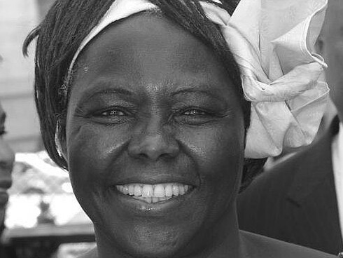 Wangari Maathai foi uma ambientalista queniana fundadora do Movimento Cinturão Verde e ganhadora do Prêmio Nobel da Paz em 2004