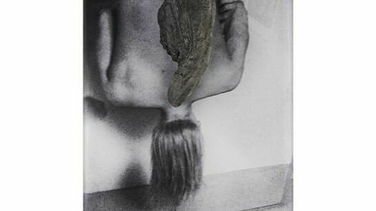 Rosemarie Trockel, Injection, 2014. Digital print, plexiglass, Acrystal, painted, 60 x 46,5 x 7 cm, Copyright: Rosemarie Trockel, ADAGP 2014. Courtesy Sprüth Magers Berlin London. Photo: Mareike Tocha, Cologne
