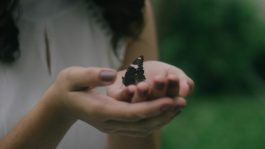 La esencia de un insectario: el contacto entre personas e insectos